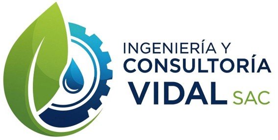 CONSULTORA VIDAL